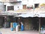 market05.jpg (75432 bytes)