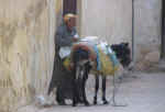 medina08.jpg (53618 bytes)