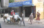 medina17.jpg (60864 bytes)