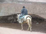 medina20.jpg (398605 bytes)