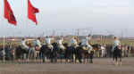 horses03.jpg (49205 bytes)