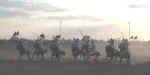 horses04.jpg (133938 bytes)