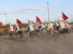 horses05.jpg (47293 bytes)