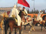 horses07.jpg (80387 bytes)