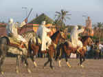 horses08.jpg (87786 bytes)