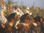 horses09.jpg (71653 bytes)
