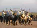 horses10.jpg (71816 bytes)