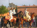 horses12.jpg (78639 bytes)