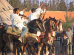 horses15.jpg (82863 bytes)