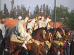 horses17.jpg (72572 bytes)