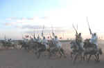 horses18.jpg (37398 bytes)