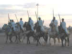 horses19.jpg (48484 bytes)