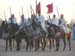 horses20.jpg (61470 bytes)