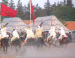 horses22.jpg (55142 bytes)