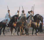 horses24.jpg (50473 bytes)