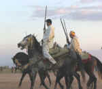 horses25.jpg (41459 bytes)