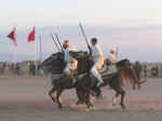 horses28.jpg (42646 bytes)