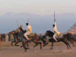 horses29.jpg (38485 bytes)