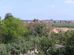 garden09.jpg (87024 bytes)