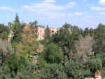 garden10.jpg (96809 bytes)