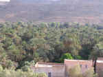errashida03.jpg (95353 bytes)
