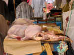 market04.jpg (62930 bytes)