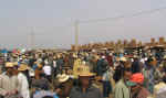 market17.jpg (55596 bytes)