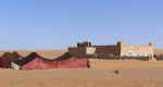 camels08.jpg (33709 bytes)