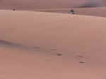 ergchebbi05.jpg (22161 bytes)