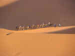 ergchebbi08.jpg (27968 bytes)