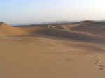 dune walk03.jpg (27942 bytes)