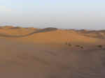 dune walk11.jpg (22945 bytes)