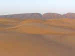 dune walk12.jpg (22221 bytes)