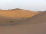 dune walk13.jpg (25372 bytes)