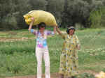 farm02.jpg (100588 bytes)