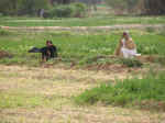 farm15.jpg (100293 bytes)