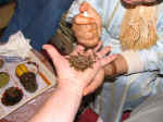 henna08.jpg (74484 bytes)